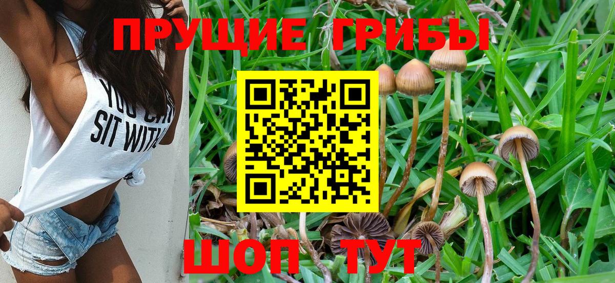МАРИХУАНА  Метадон  Меф МЯУ МЯУ кристаллы  Вход с VPN  MDMA  ГАШ  Тулун  Гашиш 