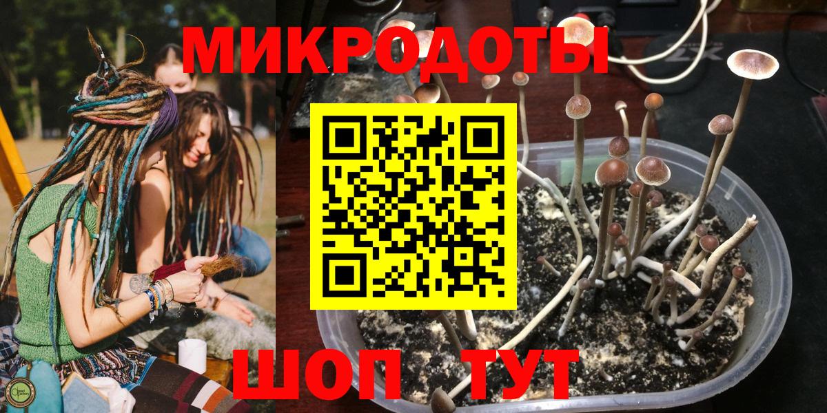 Псилоцибиновые грибы GOLDEN TEACHER Тулун