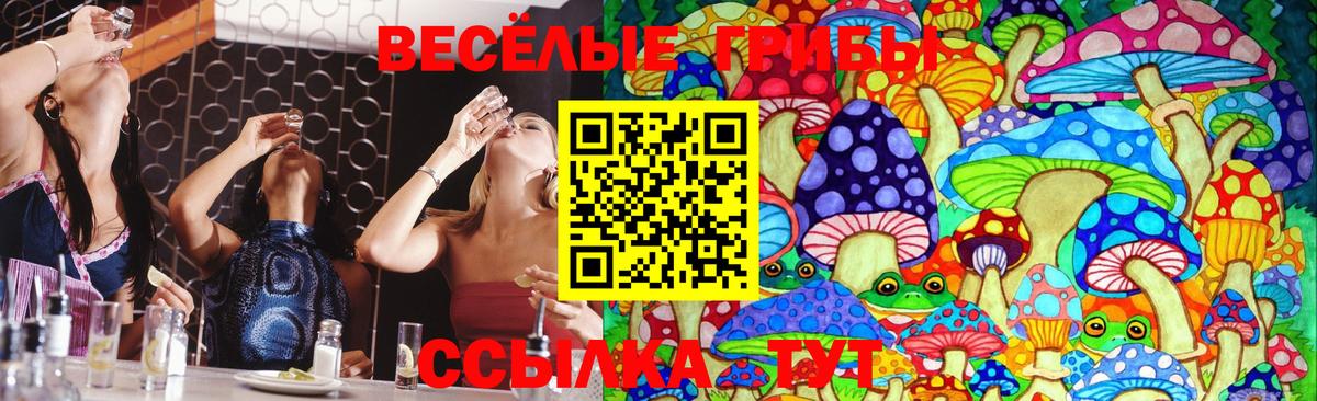 Галлюциногенные грибы Cubensis  Вход с VPN  Тулун  Галлюциногенные грибы мицелий 